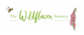 Wildflower plants logo