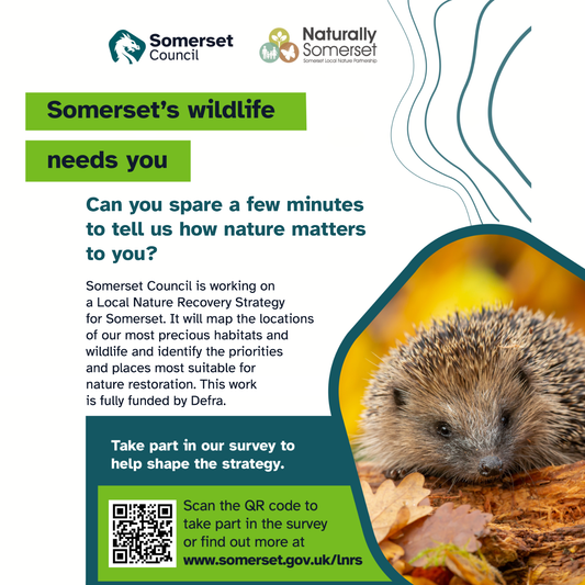 Have your say in shaping Somerset’s Local Nature Recovery Strategy