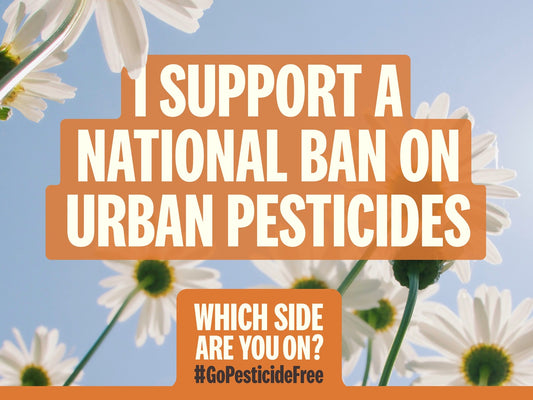 Calling for the UK government to ban the use of pesticides in publicly run areas of our villages, towns and cities.