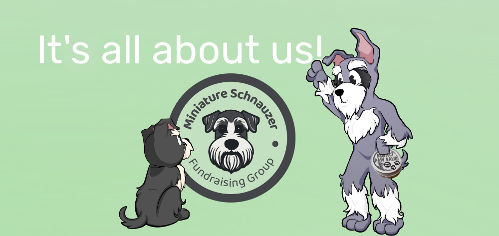 cartoon of adult miniature schnauzer showing puppy schnau lovers the stap line “it’s all about us” with miniature schnauzer fundraising group logo