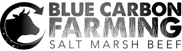 bue carbon farming logo linking to blue carbon farming website