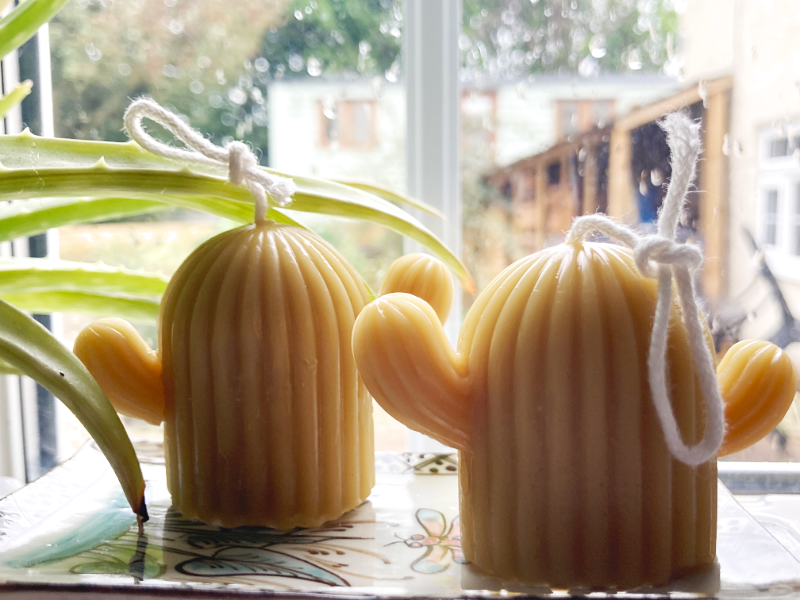 Somerset beeswax candles