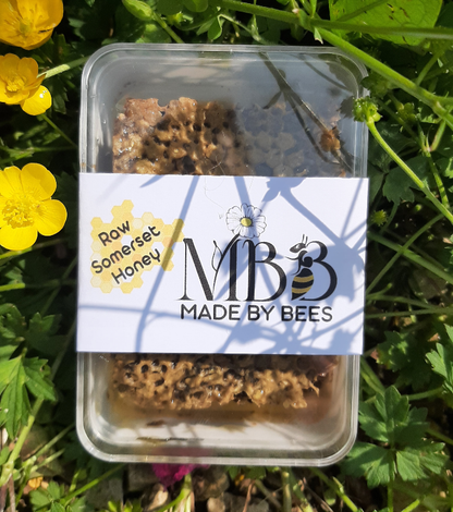 Natural Somerset honeycomb
