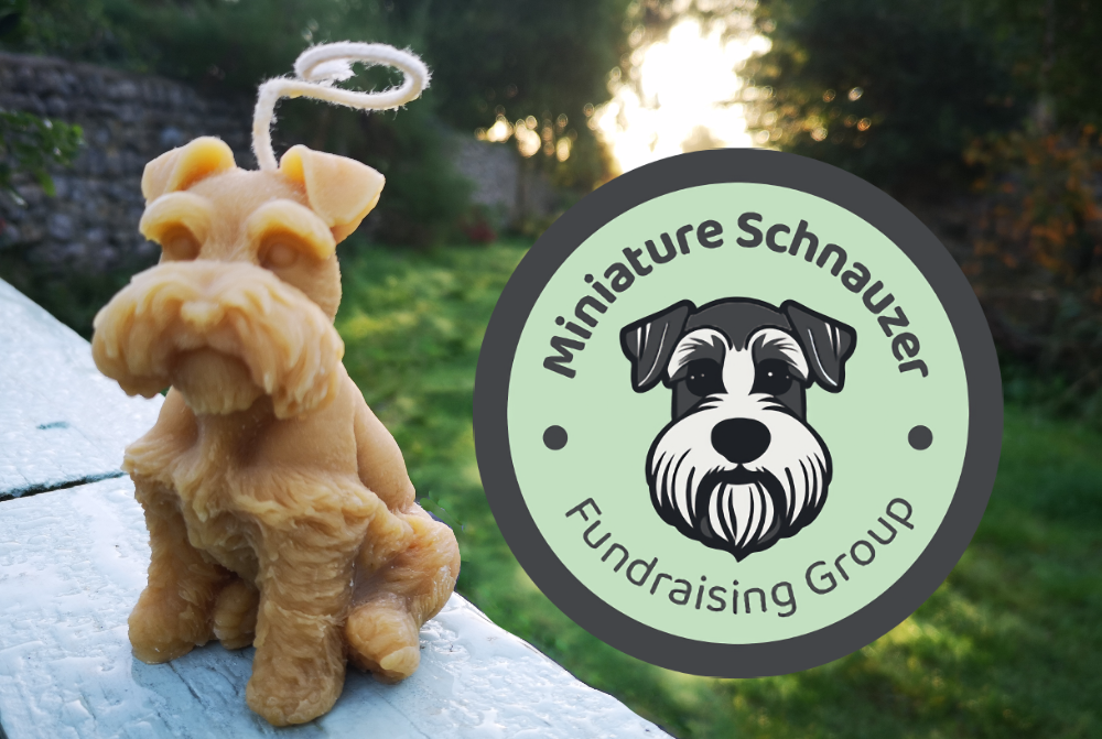 miniature schnauzer candle with countryside in background and logo of miniature schnauzer fundraising group