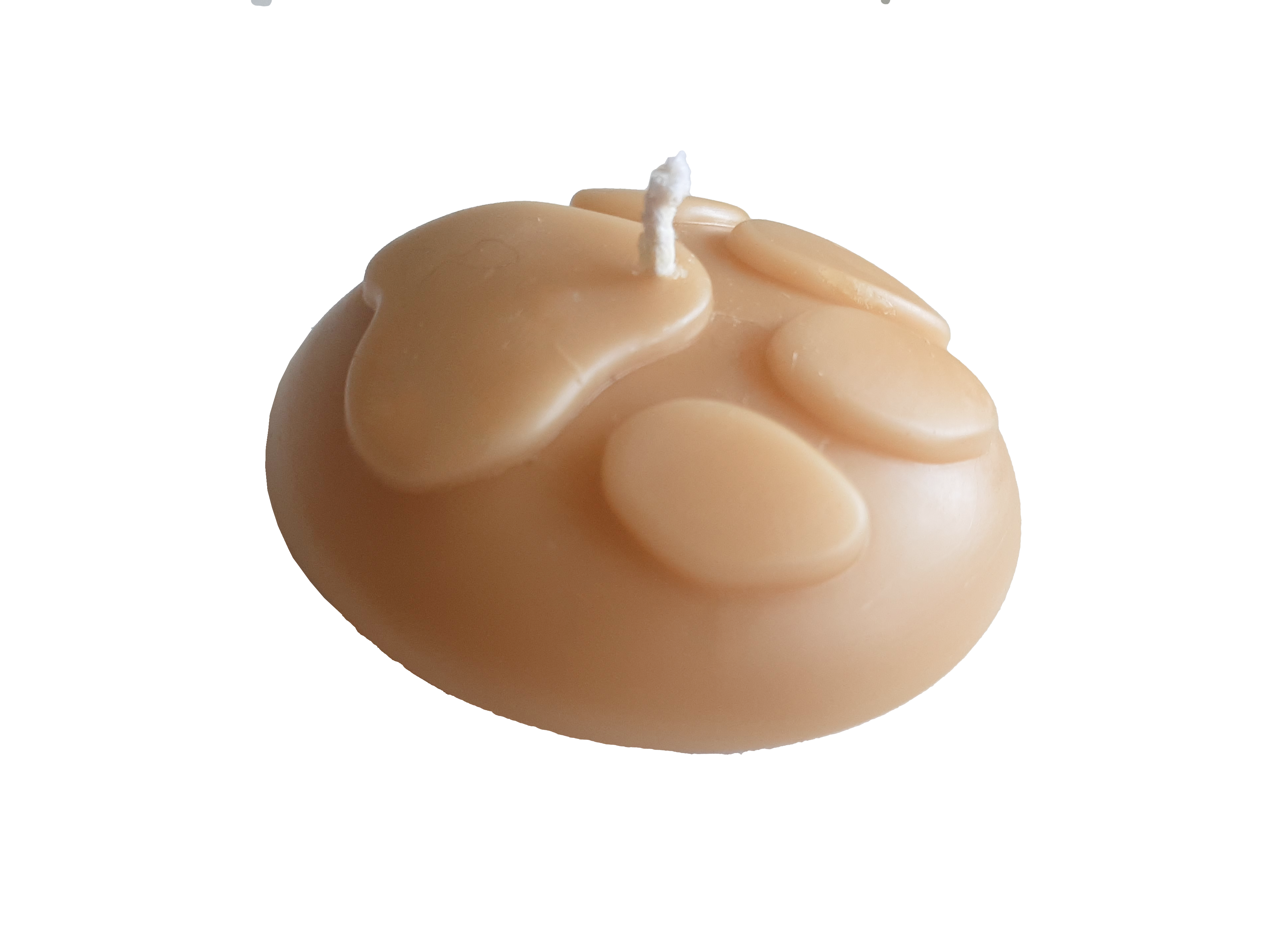 Paw print candle