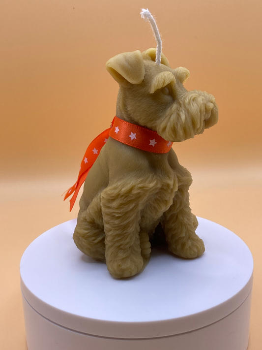 miniature Schnauzer collectable