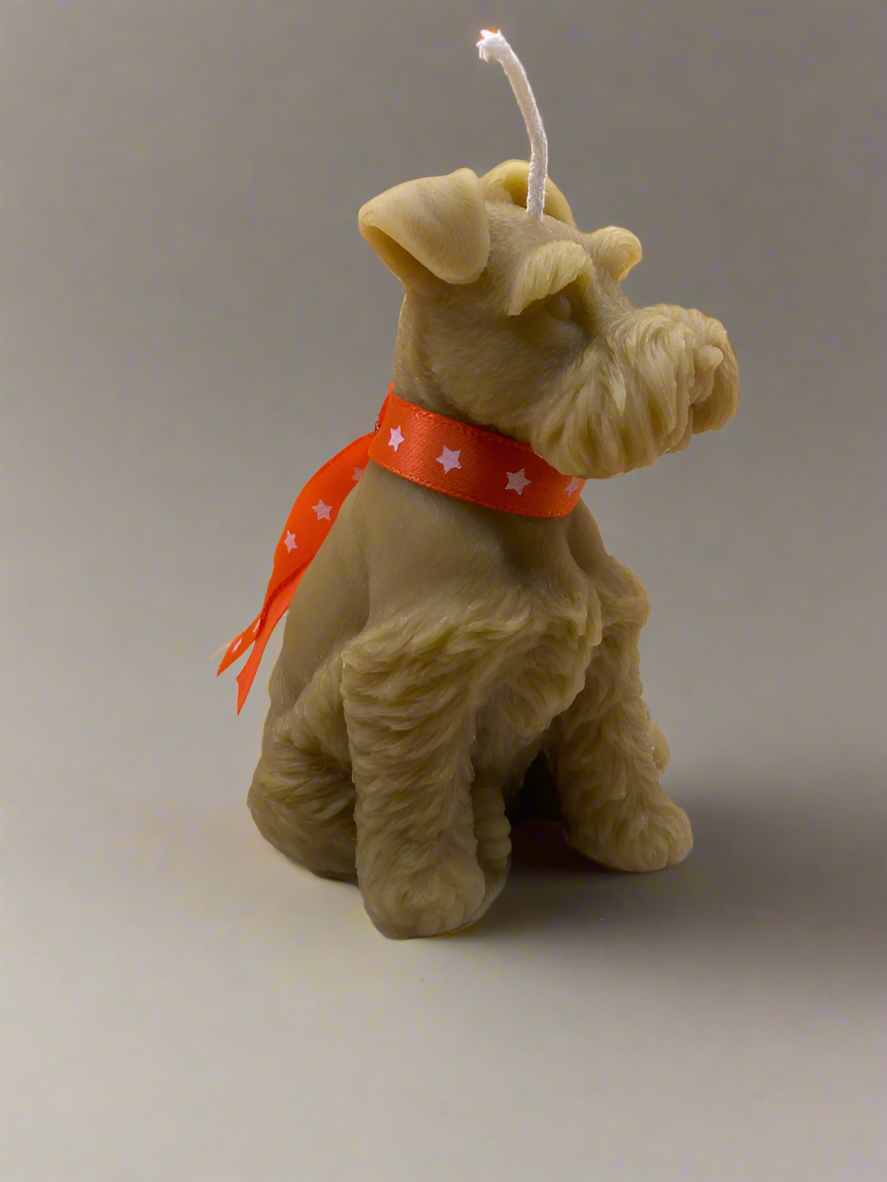 miniature Schnauzer ornamental collectable candle with red ribbon collar